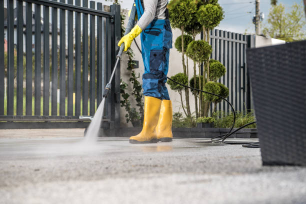 Best Driveway Cleaning and Restoration in Weaverville, NC